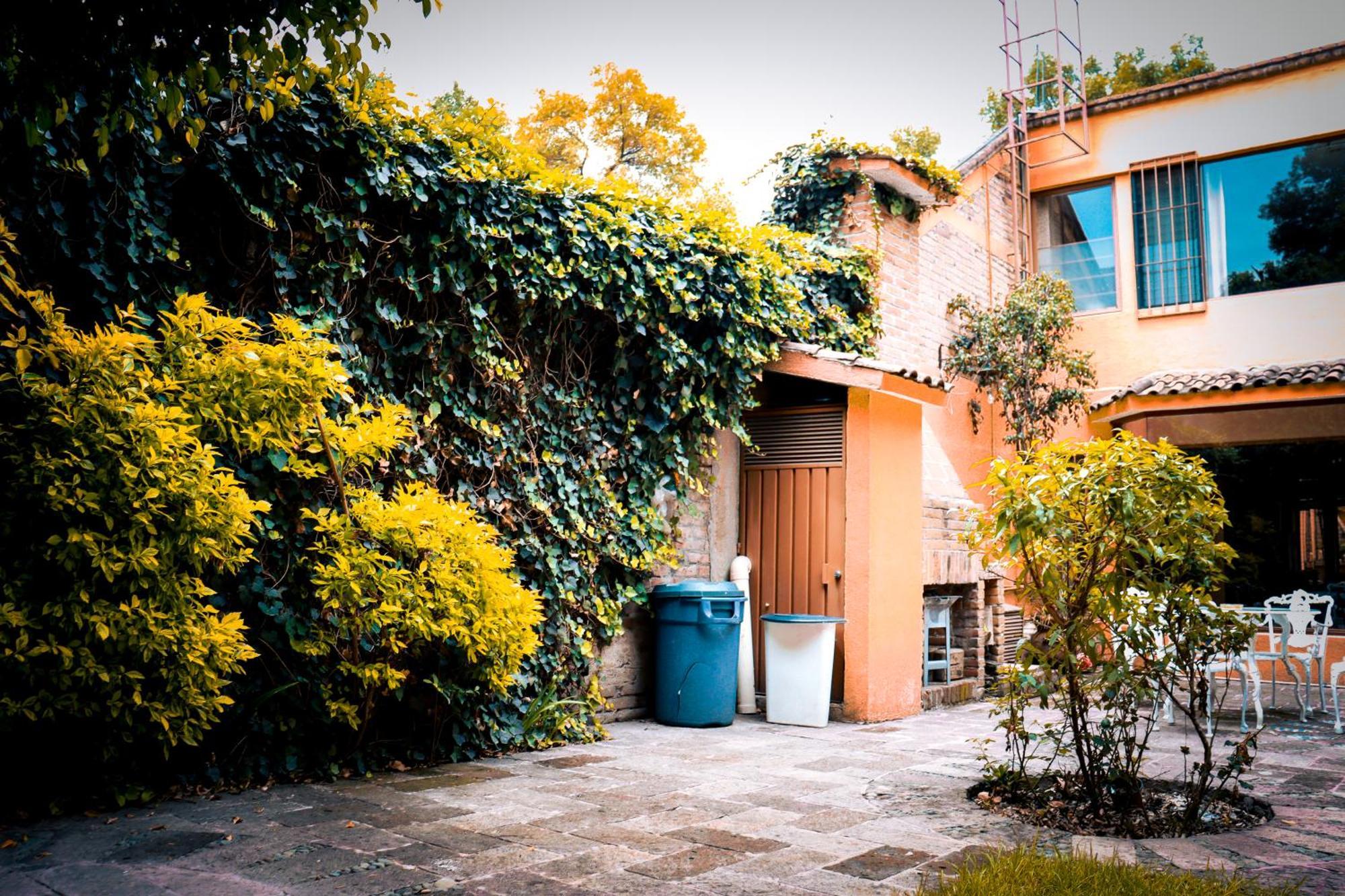 Suites Cuija Coyoacan Mexiko-Stadt Exterior foto